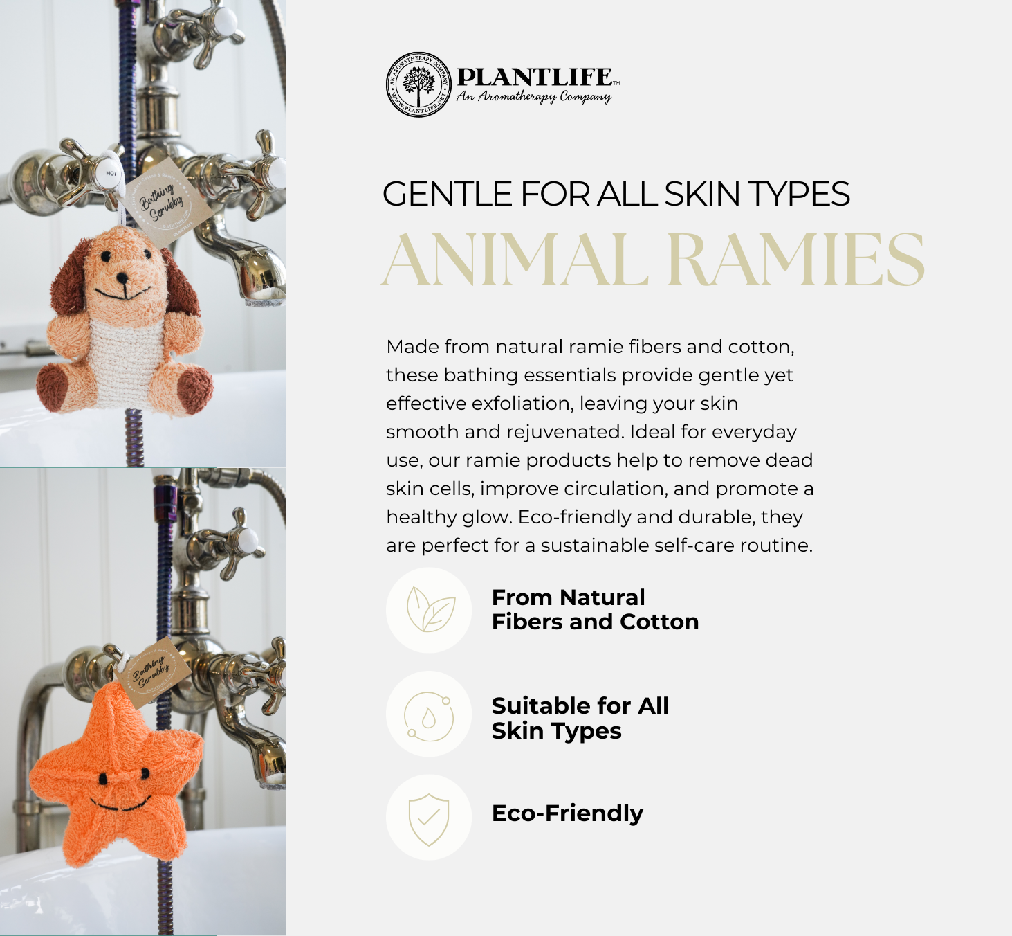 Plantlife - Ramie Starfish