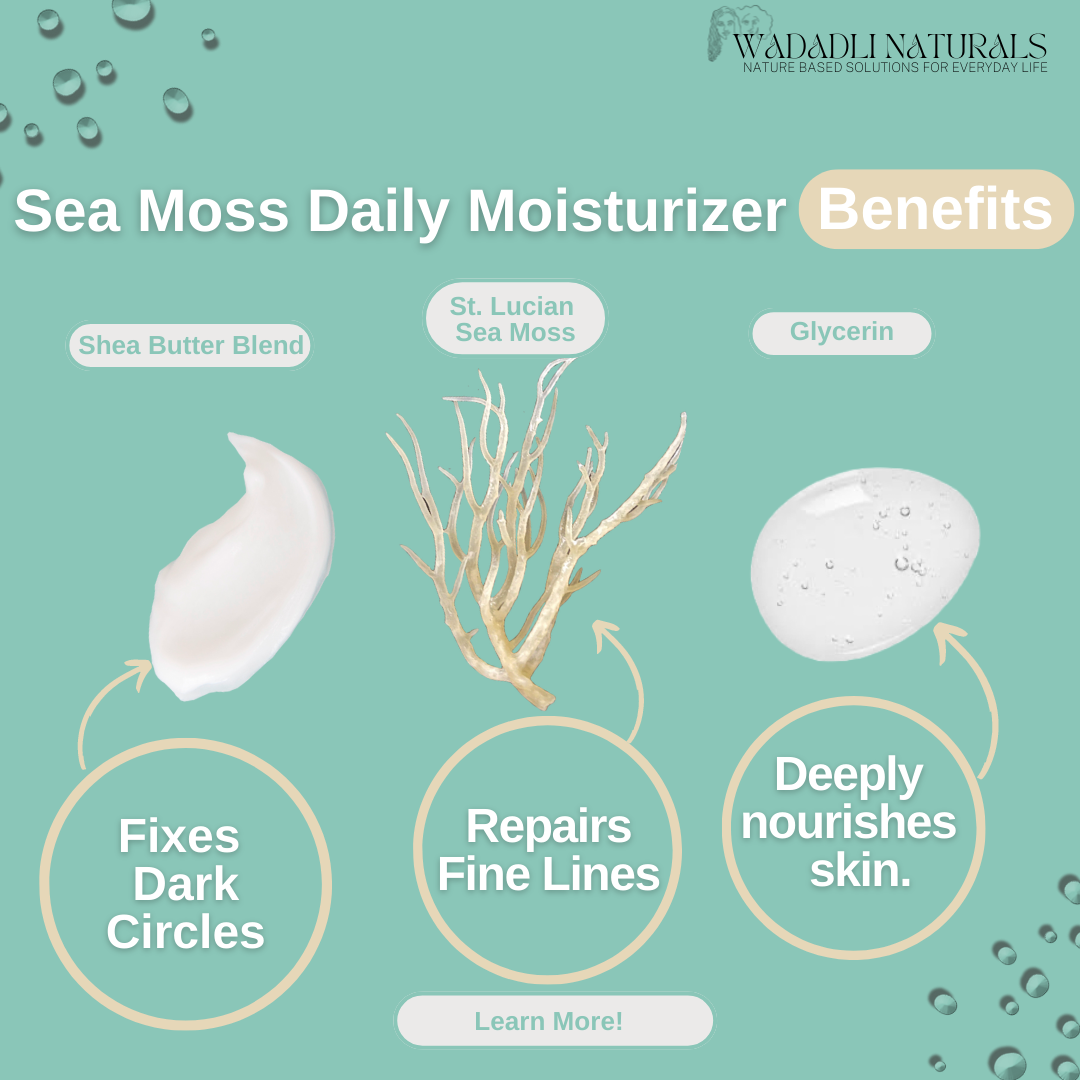 Wadadli Naturals - Sea Moss Face Cream