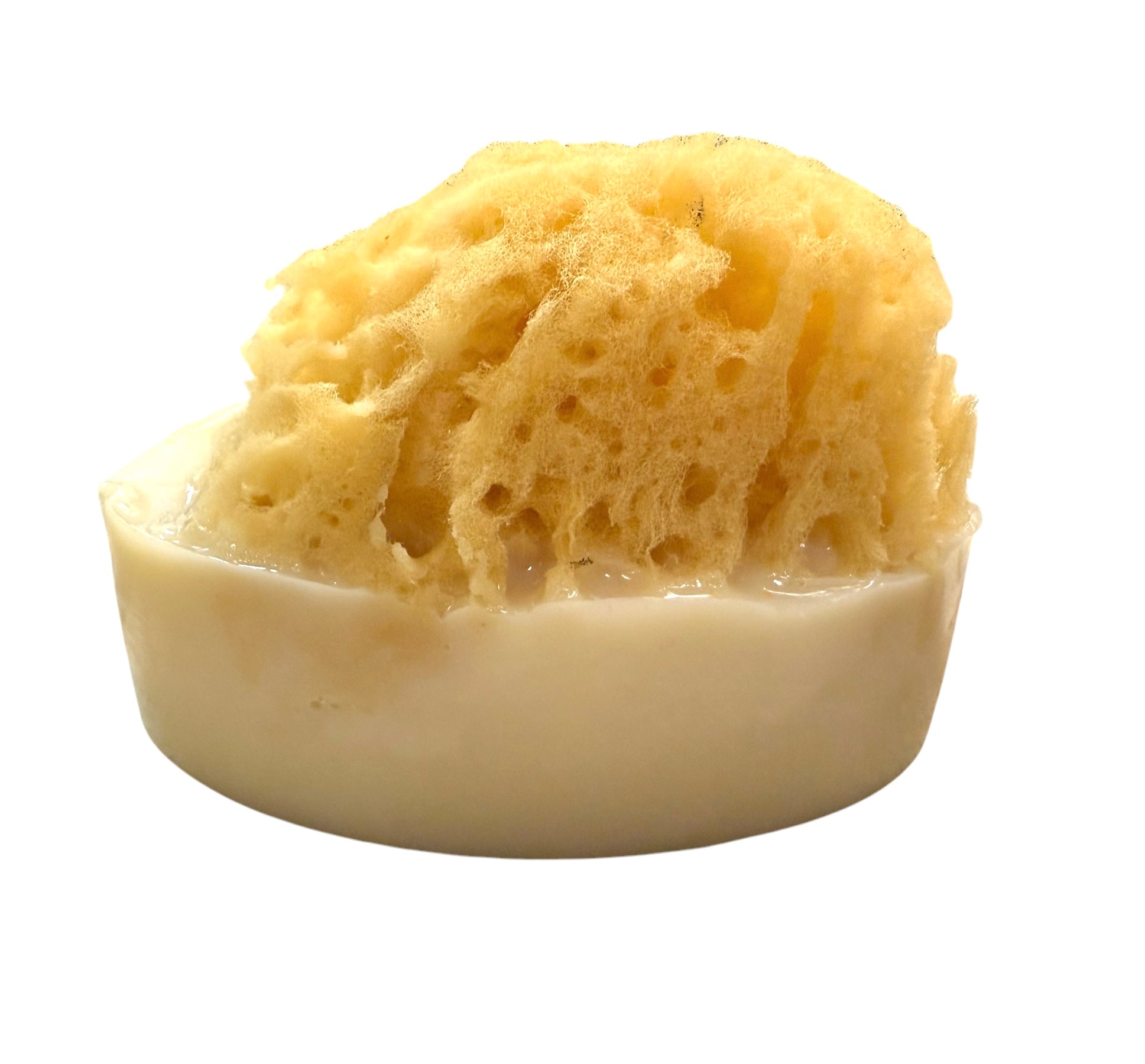 Honey, Goat’s Milk & Shea Soap with Embedded Sea Sponge