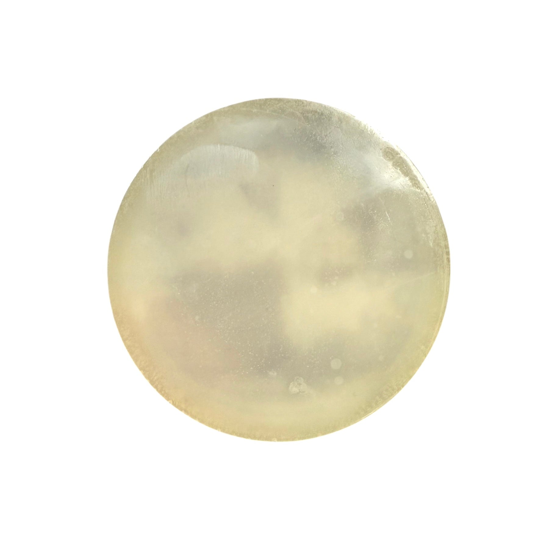 Cobalt Soap Co. Shampoo & Shave Bar