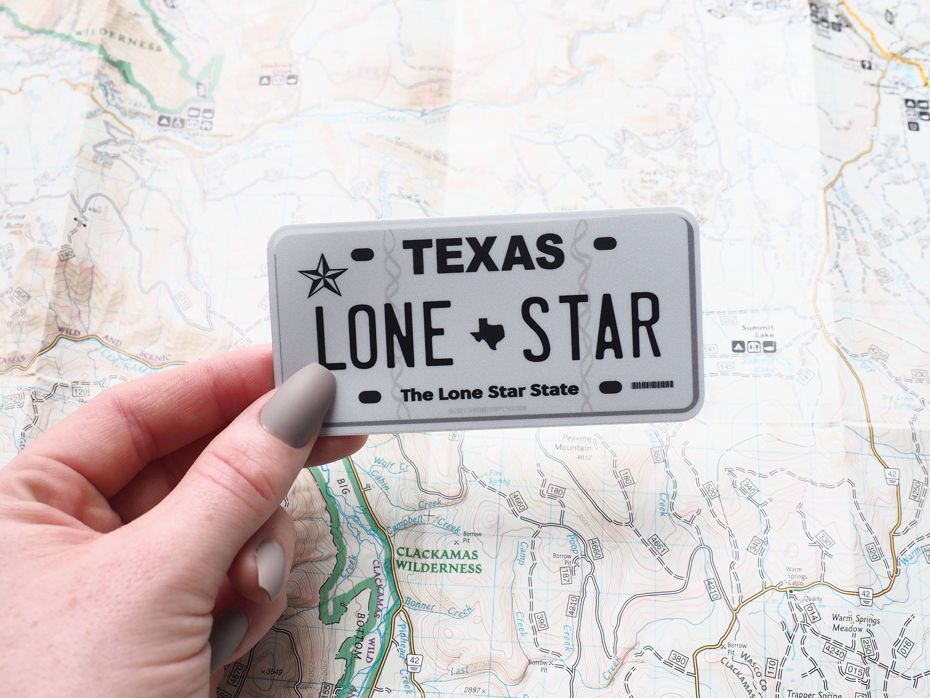 Sentinel Supply - Lone Star Texas License Plate Sticker