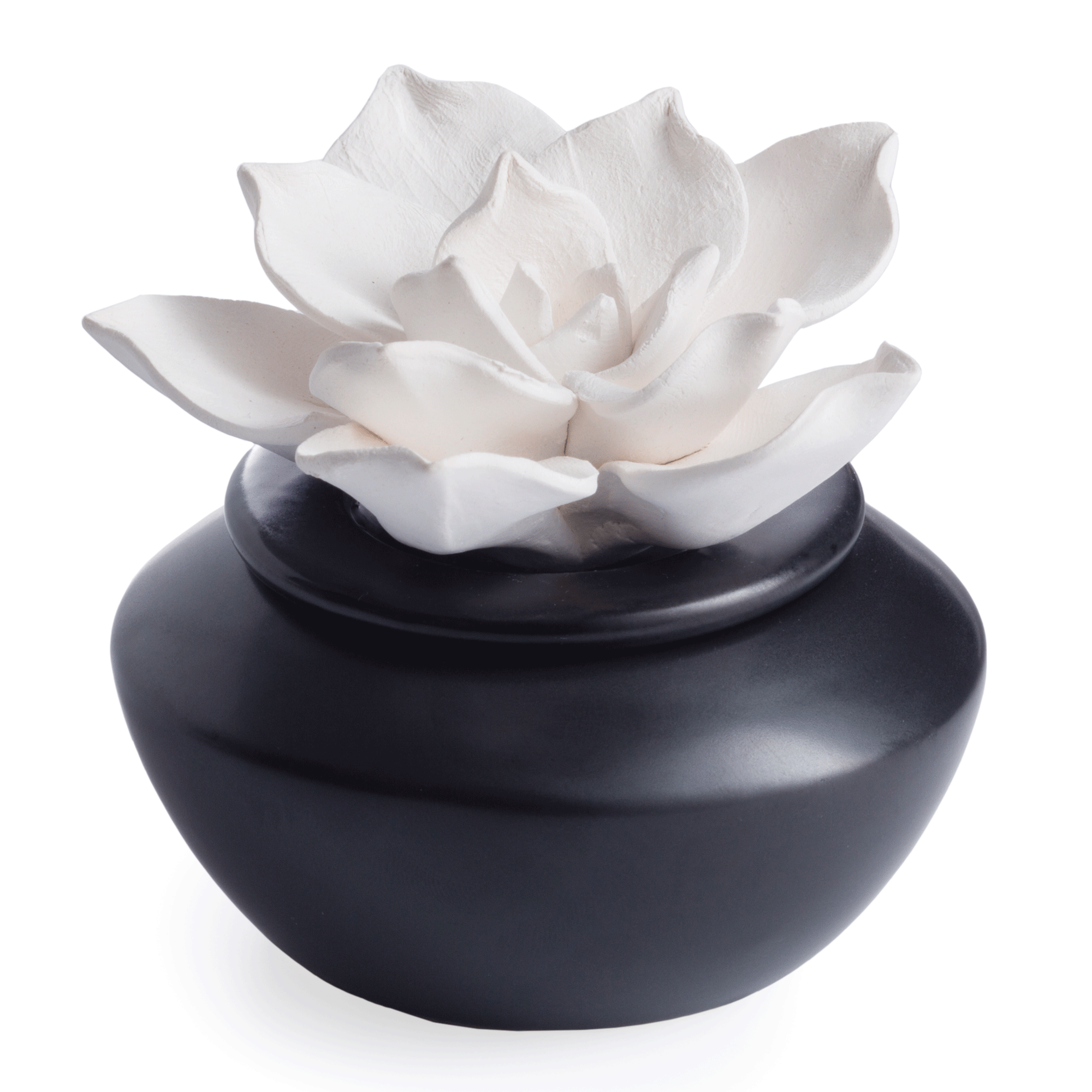 Gardenia Porcelain Diffuser