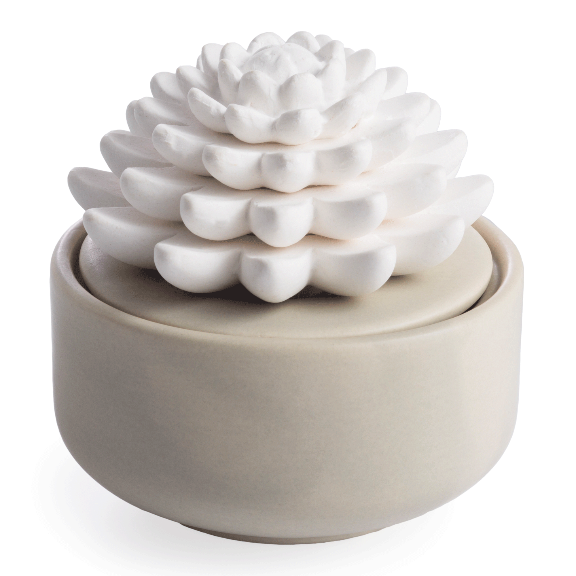Succulent Porcelain Diffuser