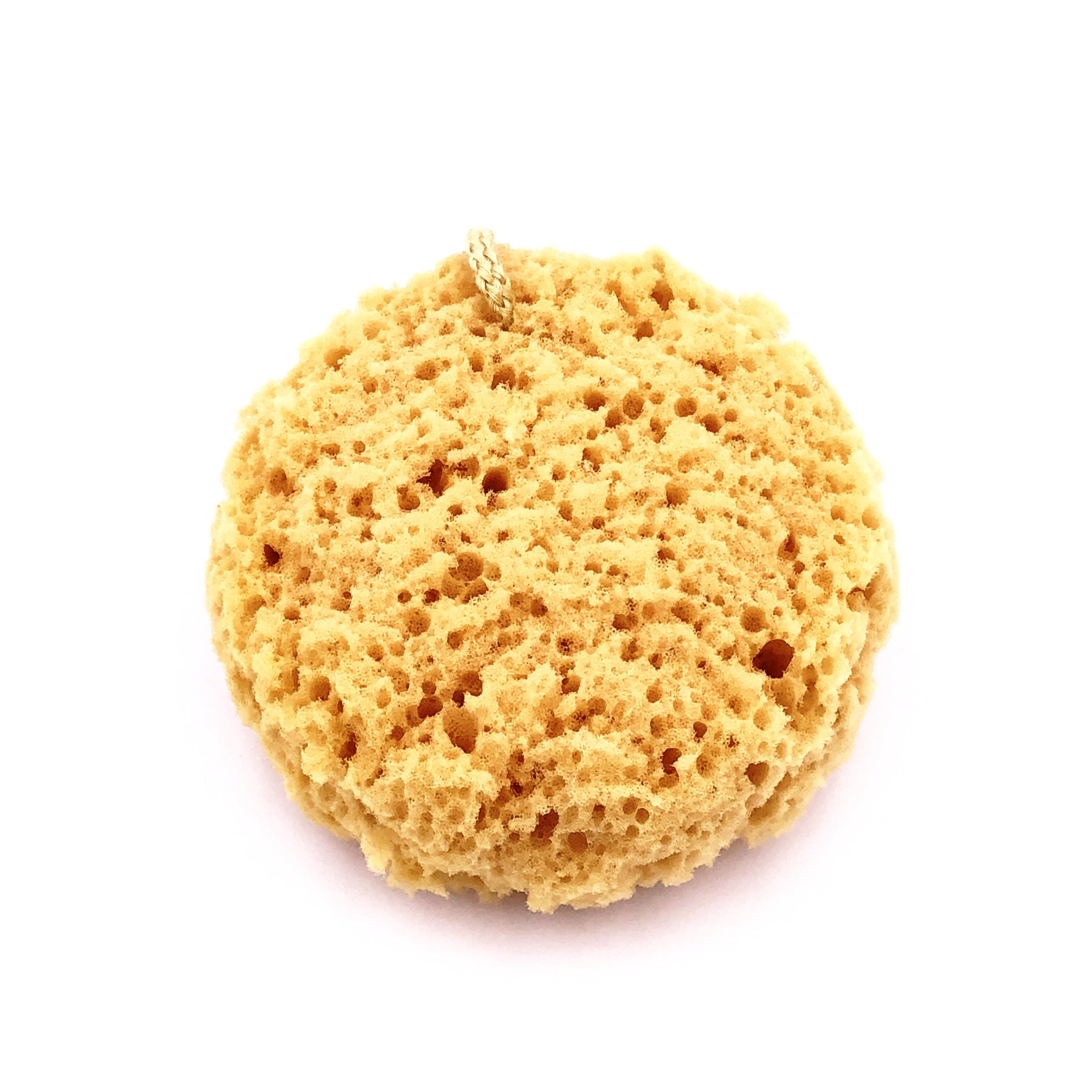 Sponge