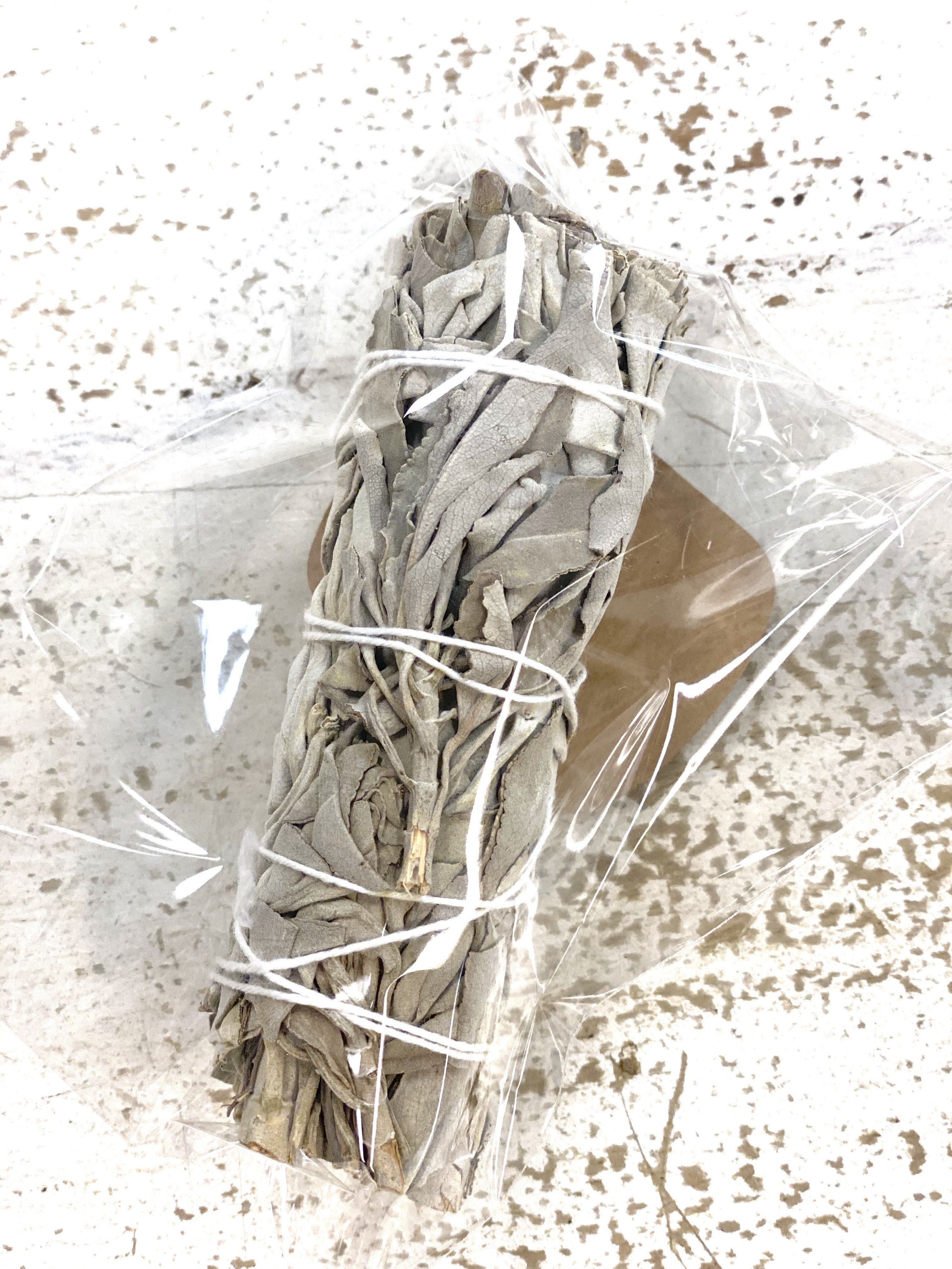White Sage Smudge Stick - 4 Inch