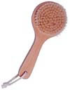 Plant Bristled Body Brush