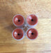 Sasha's Hand Poured Tinted Lip Balm - White Rock Soap Gallery