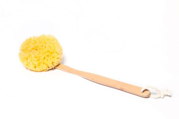 Yellow Sponge Stick